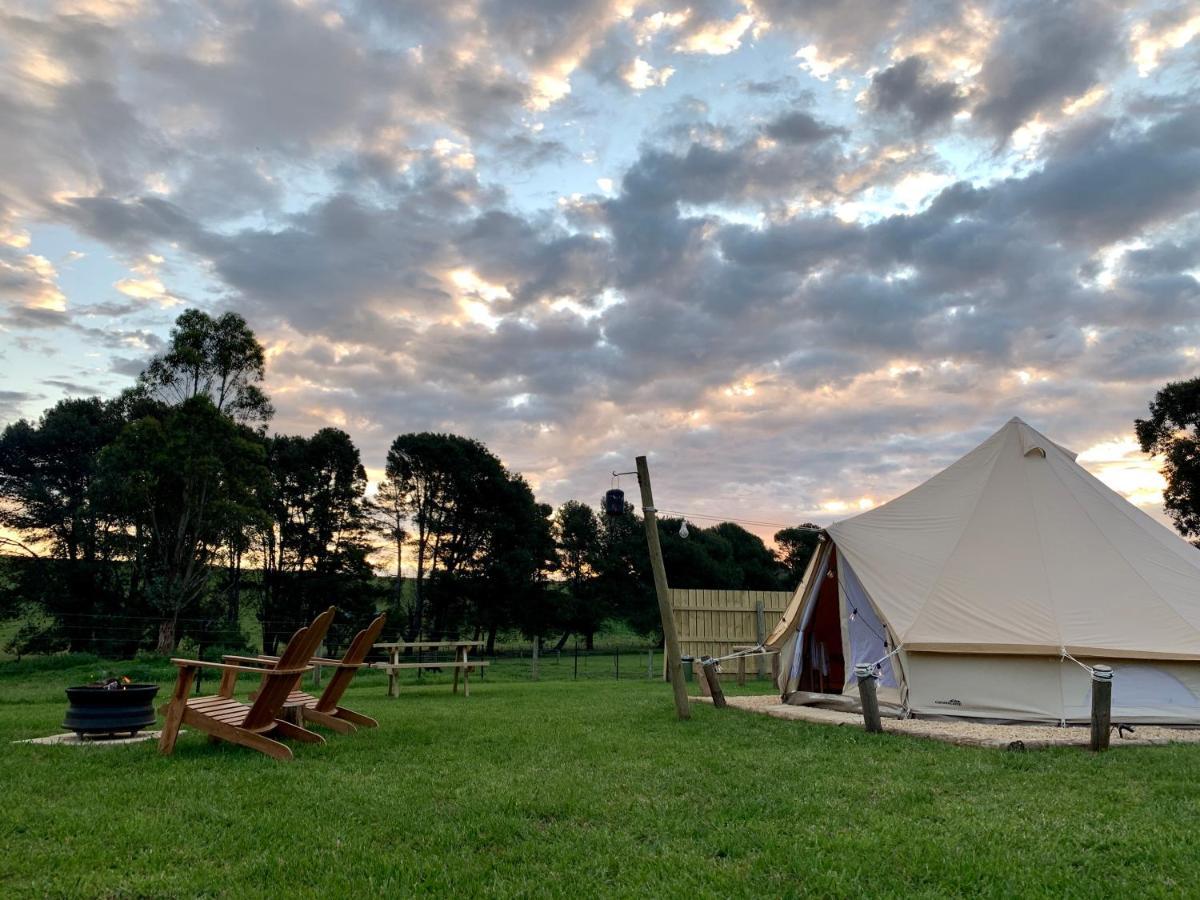 Pine Country Caravan Park Mount Gambier Kültér fotó